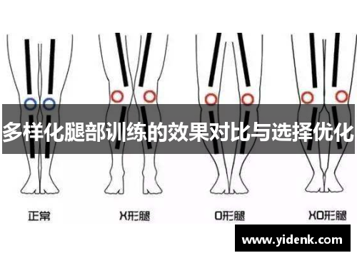 多样化腿部训练的效果对比与选择优化